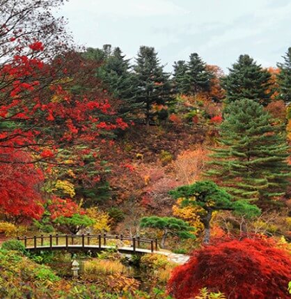 가을 단풍 명소 여행 추천