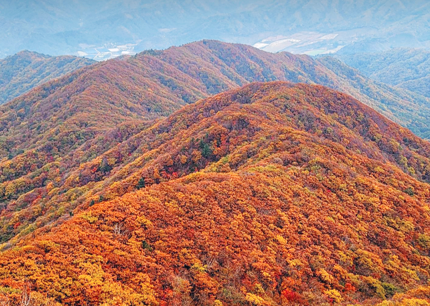 치악산 단풍
