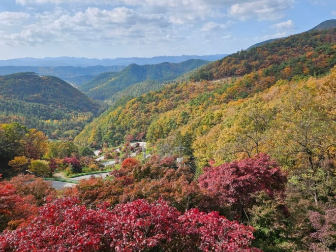 충북 단풍명소 TOP5 ❘ 가볼만한 곳 여행 추천 관련 사진
