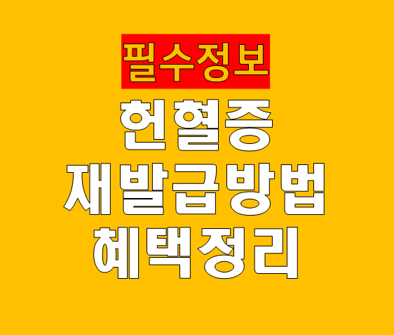 헌혈증 재발급 방법 사용처 혜택 유효기간 완벽 가이드