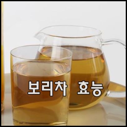 보리차 효능