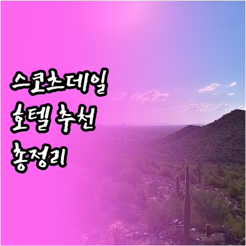 스코츠데일 호텔 추천 위치 가격 후기..