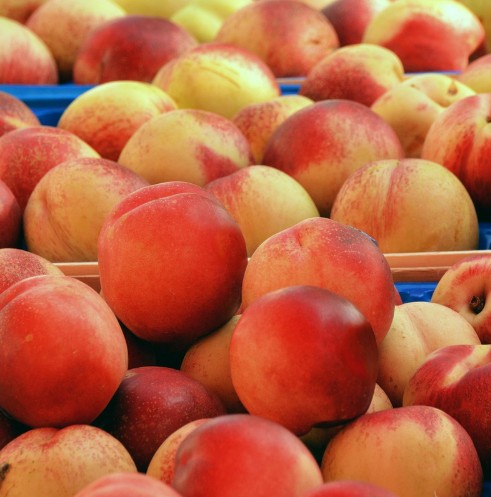 위내시경 전날 금식