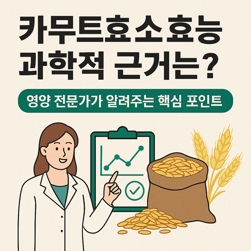 하루 한 포의 습관이 건강한 장과 활력을 되찾아 줄 수 있습니다