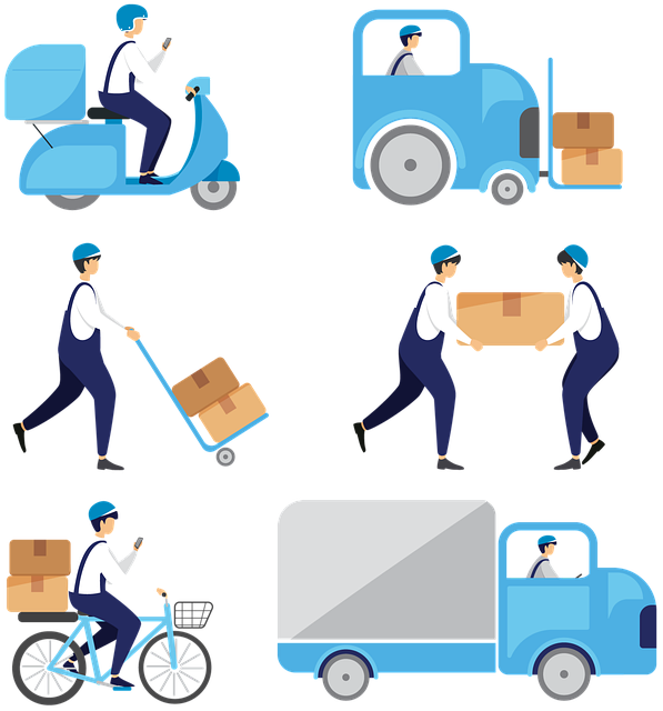 CJ택배 배송조회 대한통운 택배 예약하기