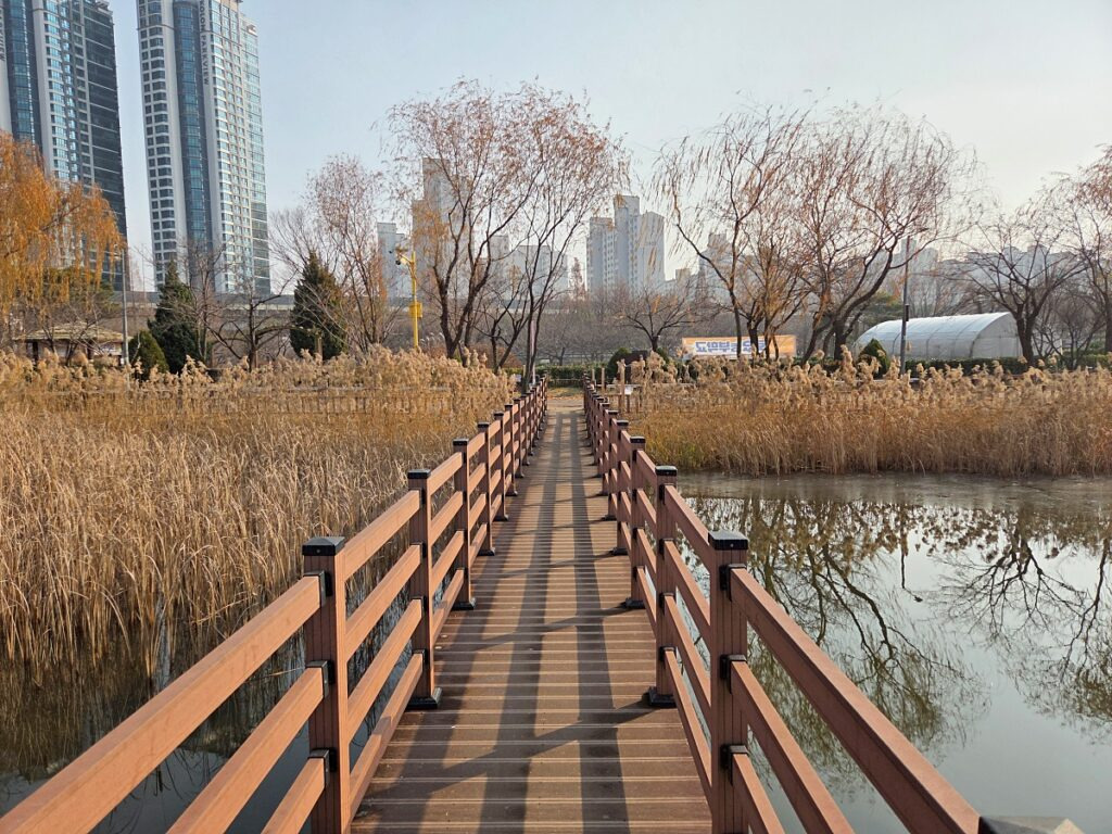 부천 반려견 겨울 나들이 명소, 강아지와 함께 걷기 좋은 산책 코스