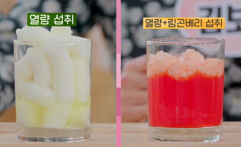 링곤베리 효능