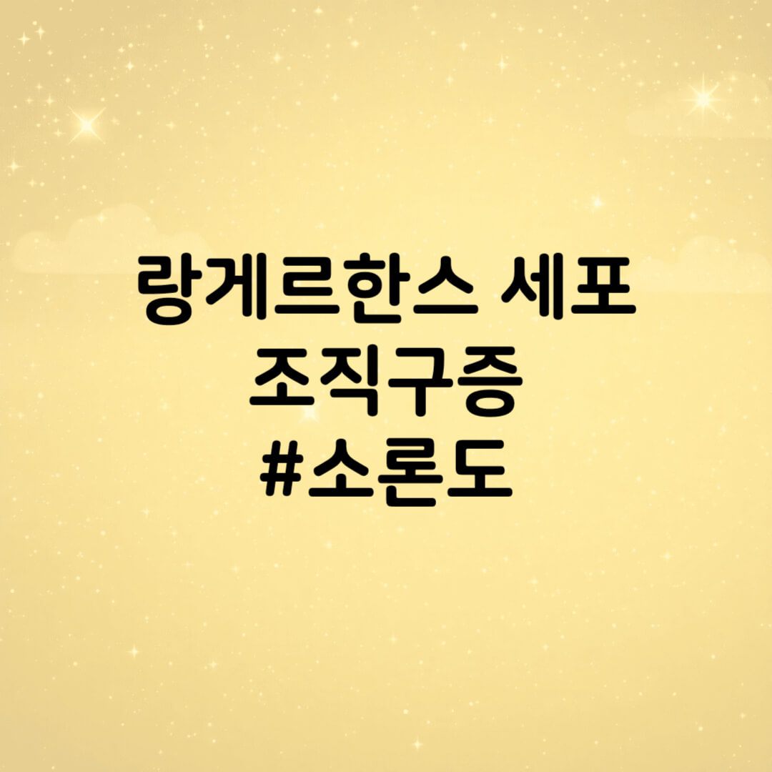 랑게르한스 소론도시작