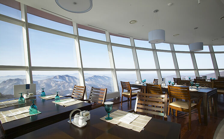 하이원 리조트 스키장과 관련된 사진