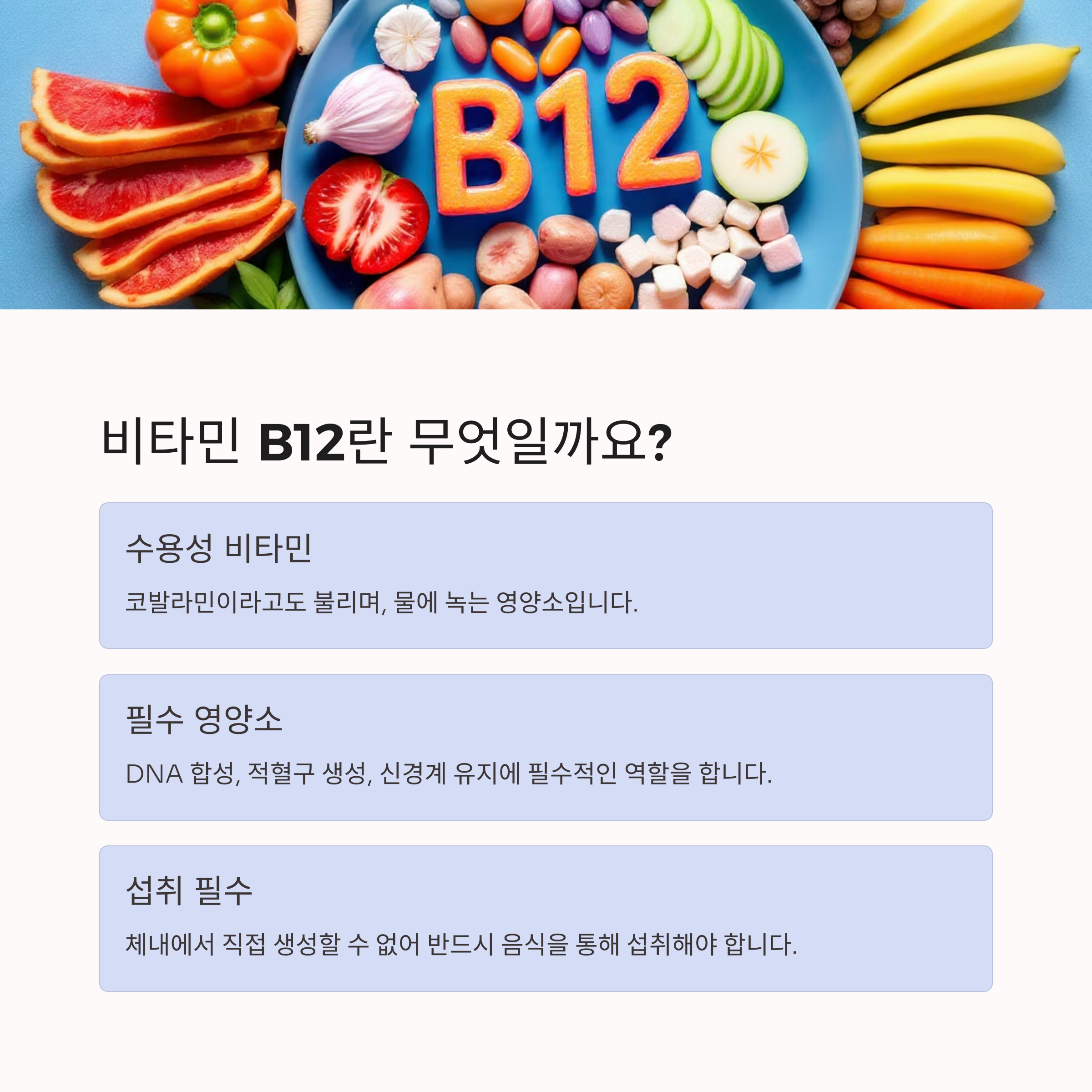 몸에 꼭 필요한 비타민 B군(B6, B12, 엽산) 에너지와 뇌 기능