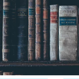 2024 노벨문학상 한강소설