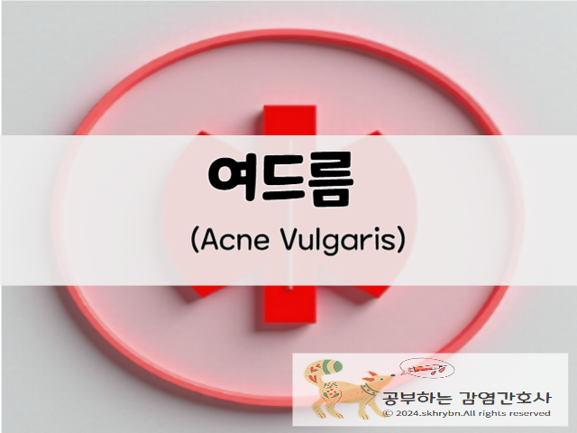 의학 정보_여드름(acne vulgaris) 흉터 연고, 종류 및 효능 알아 보기