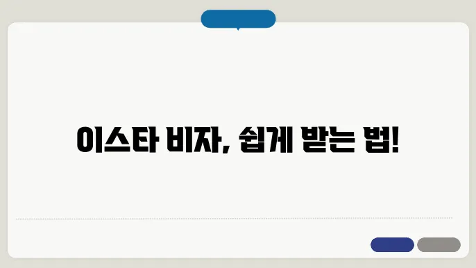 이스타 비자 신청 중 확인사항