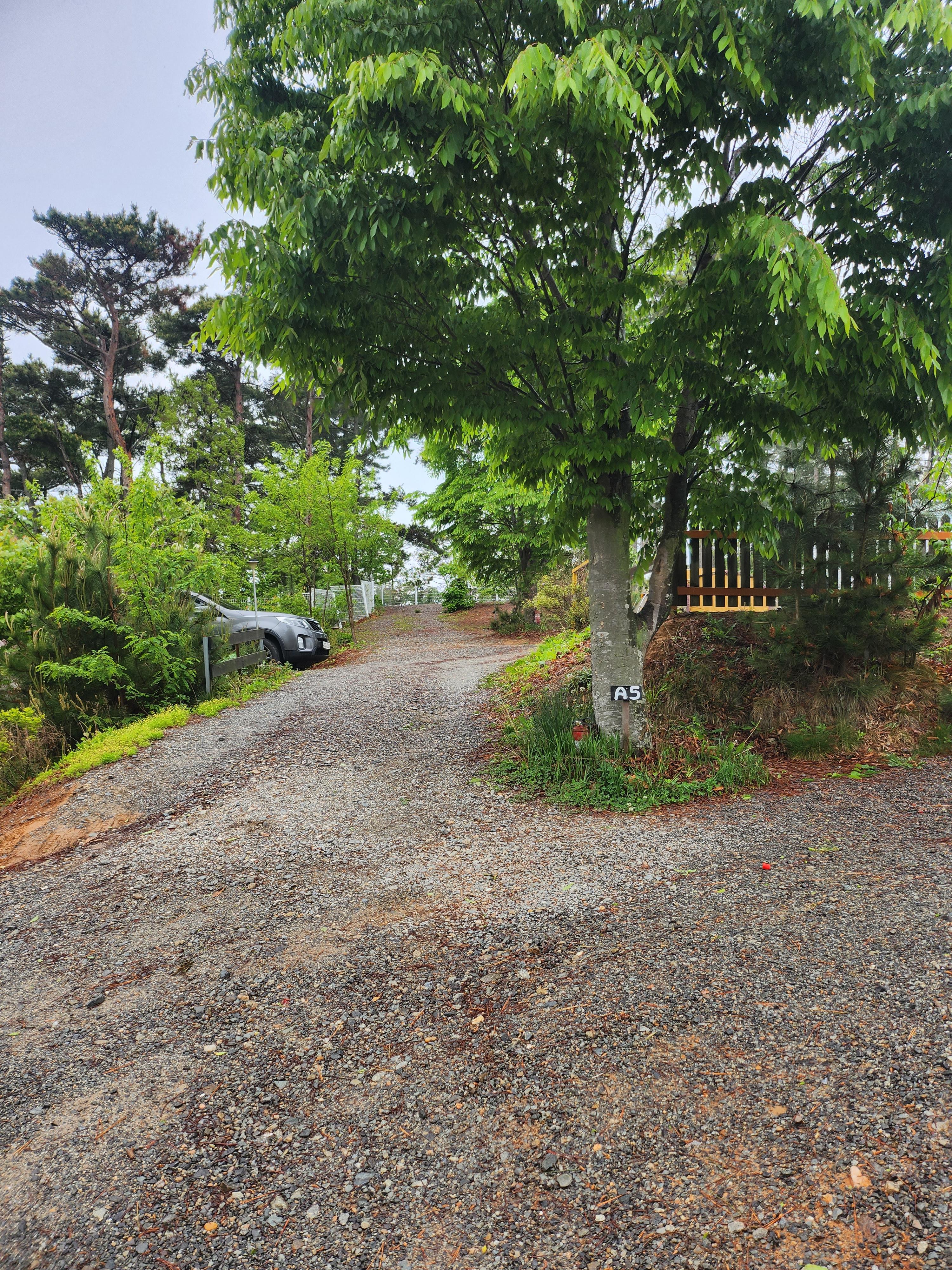 태안별빛캠핑장 a사이트