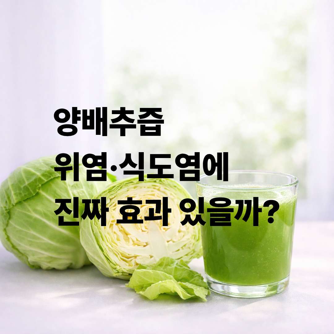 양배추즙, 식도염·위염에 진짜 효과 있을까 부작용까지 솔직 후기