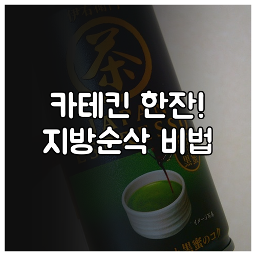 체지방 연소 돕는 카테킨 음료 효과적..