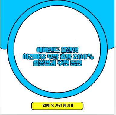 에버랜드 플랜잇 시간자유 주말 효율 200% 활용법과 추천 동선