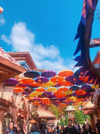 에버랜드 오후권