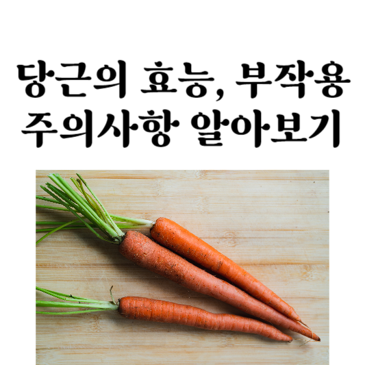 당근의 효능과 부작용, 주의사항