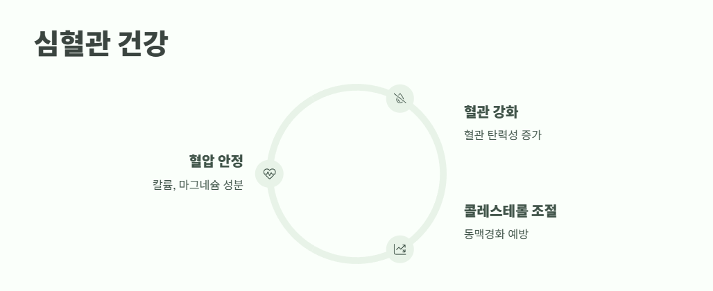 보리수 열매 효능 쉽게 정리 4