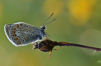 장마 시작일 2025년 최신 정보 22