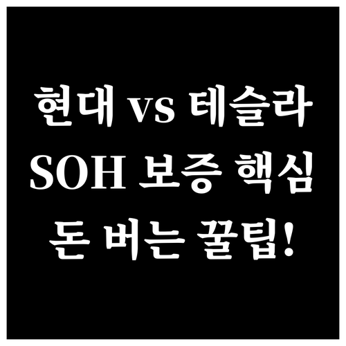 SOH 보장 핵심! 현대차와 테슬라 ..