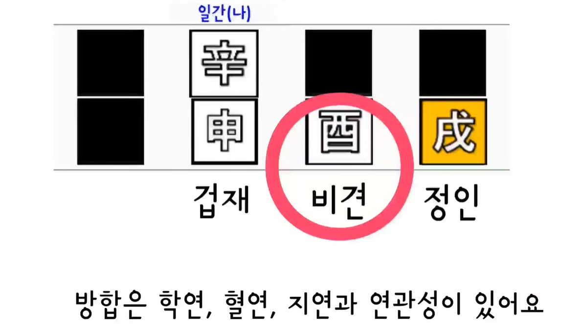 신유술