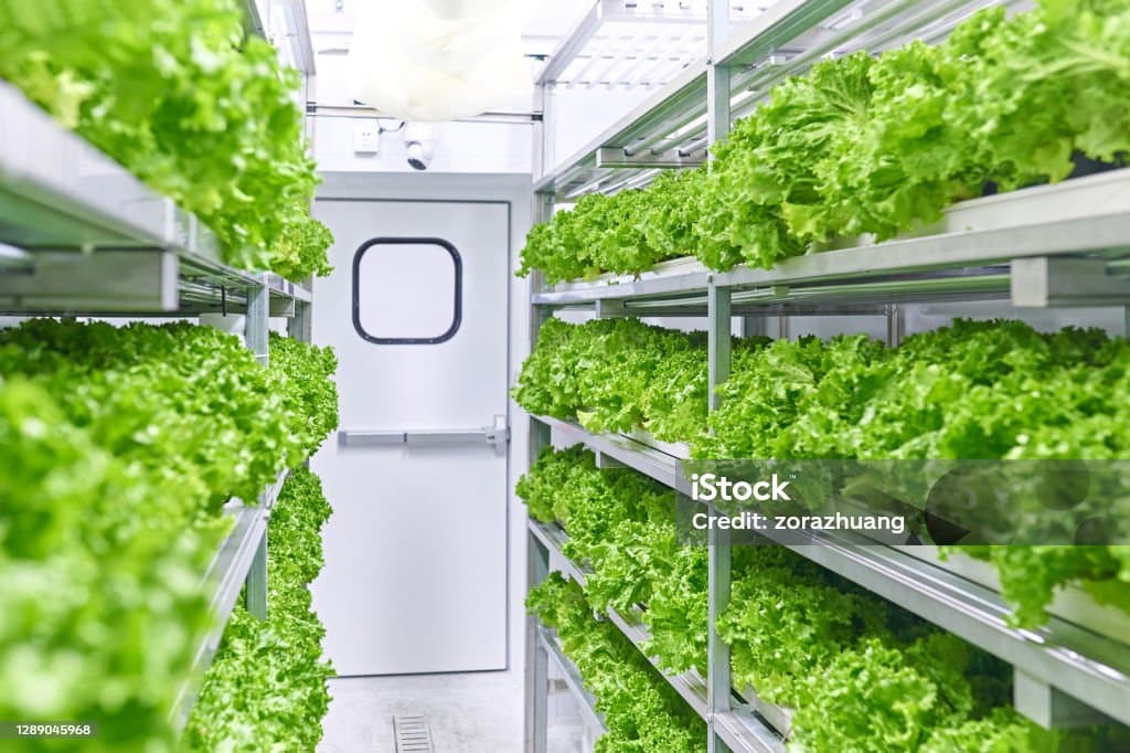 미래 농업과 스마트가드닝 &ndash; 도시농업의 혁신을 가져올 스마트 기술들