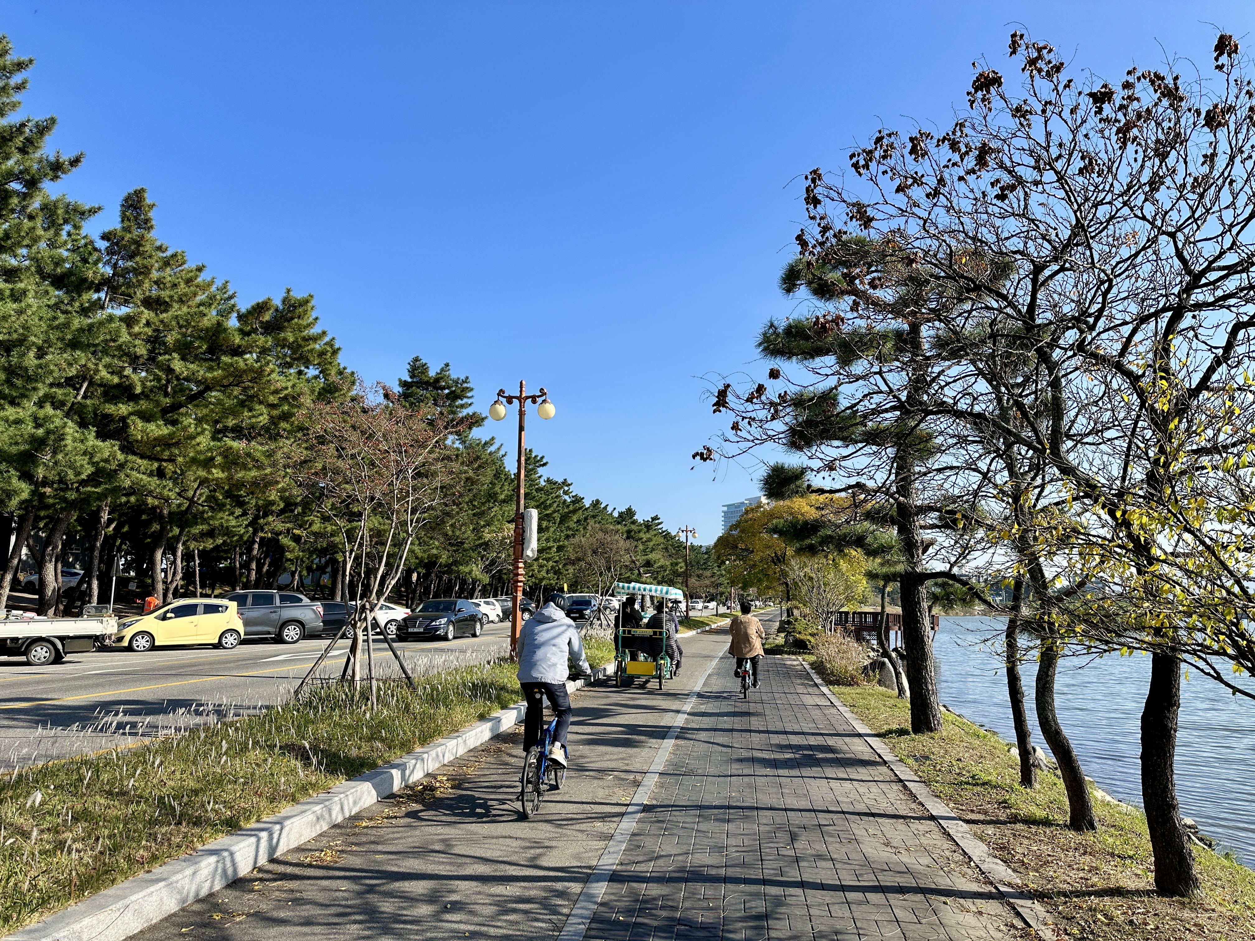경포호 둘레길 자전거 도로
