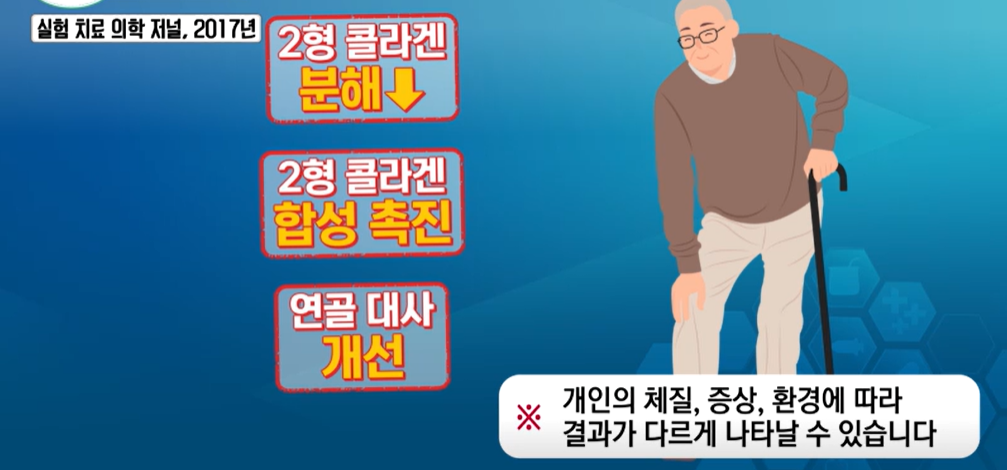 프로테오글리칸 효능