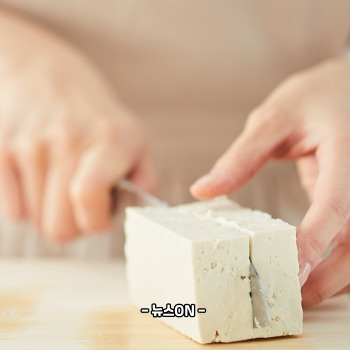 알부민 많은 음식