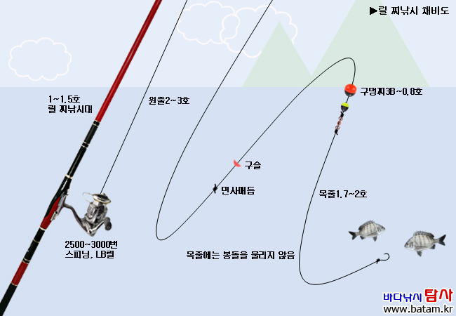 감성돔 낚시 채비법 반유동 낚시의 기본 구조