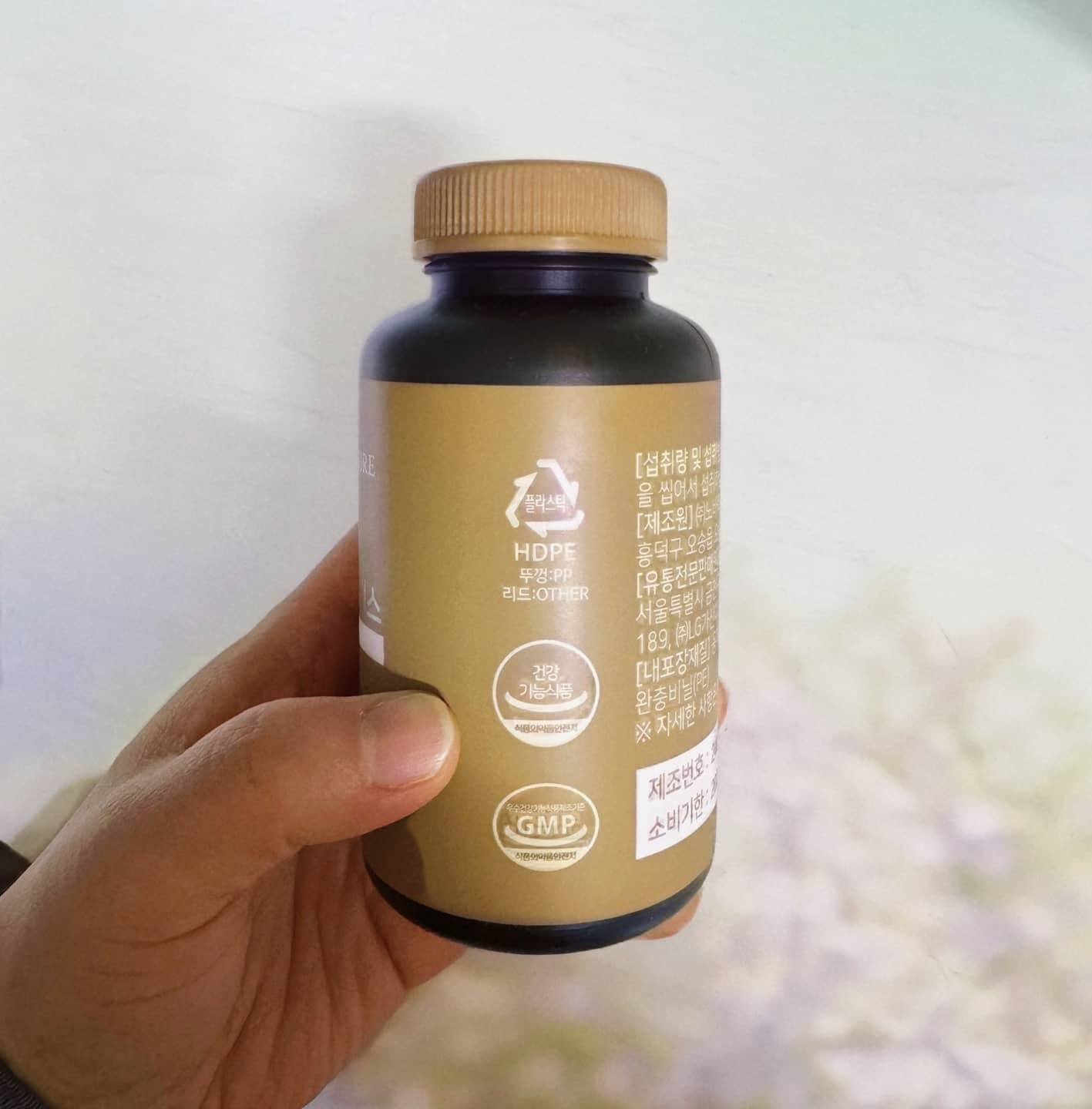 뇌 건강을 위한 최적의 영양제 선택법