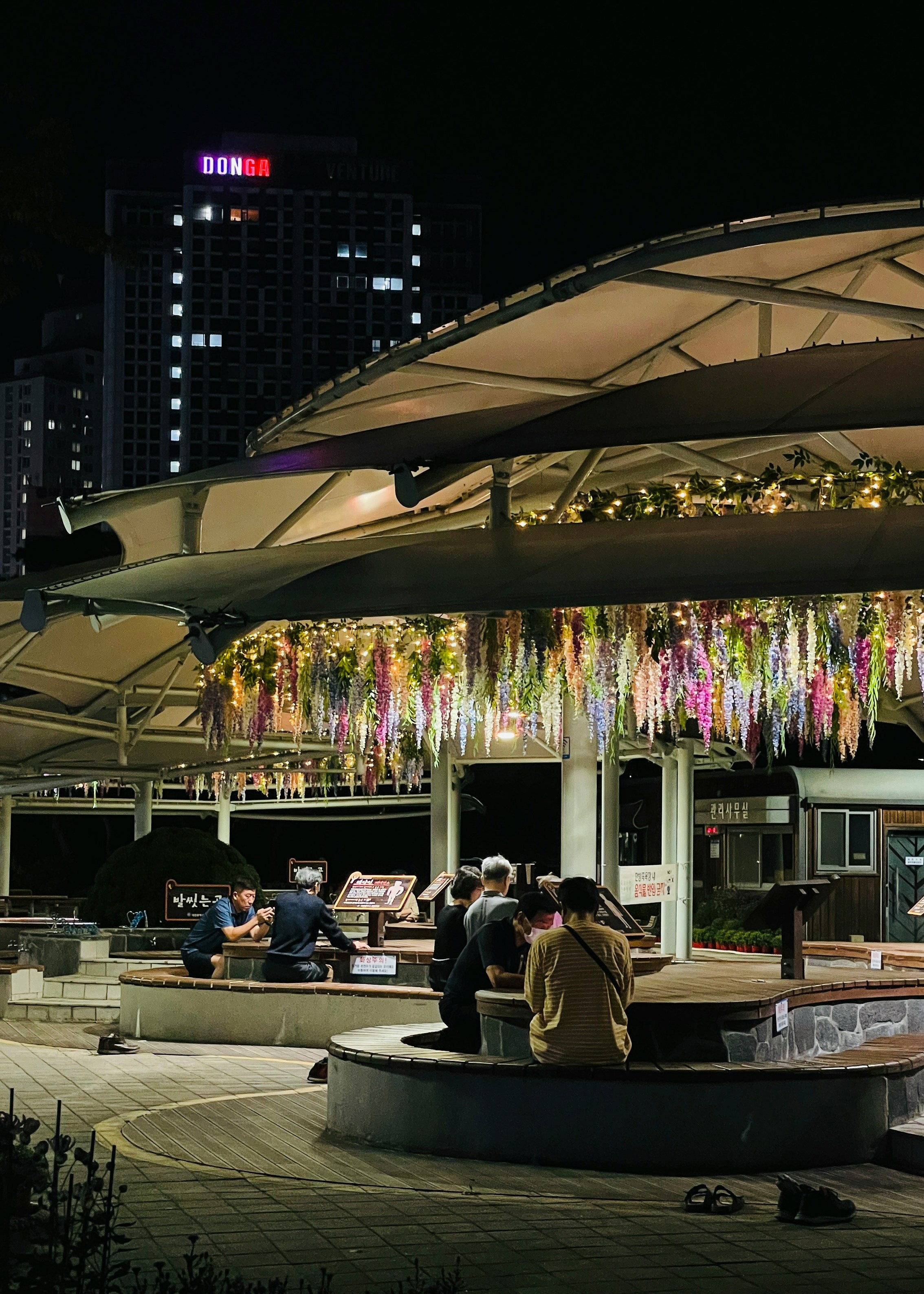 대전 오월드 주차 정보|무료 주차부터 혼잡 시간까지 완벽 정리