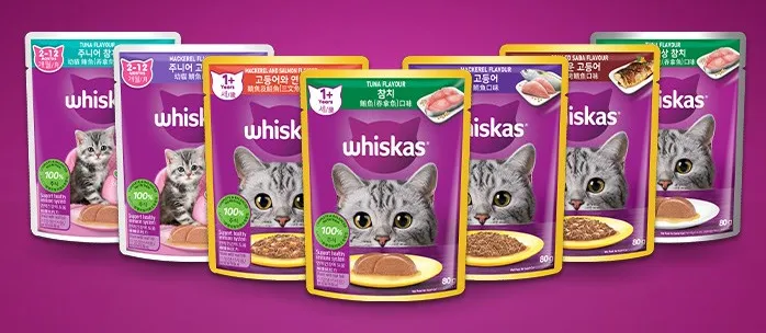 아기고양이-습식사료-추천-위스카스-주니어