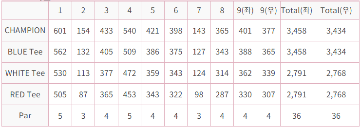 대영힐스 cc 청 코스