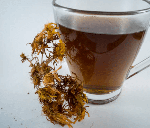 우엉차 효능 10가지 및 부작용