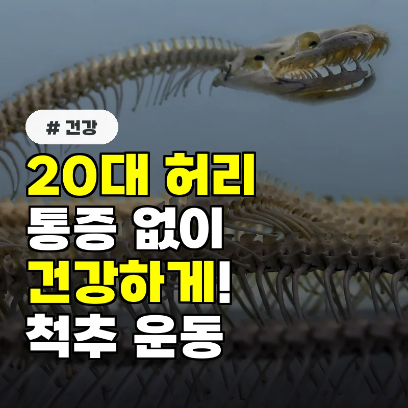 20대 허리 통증 없이 건강하게! 전문가가 추천하는 척추 강화 운동 3가지