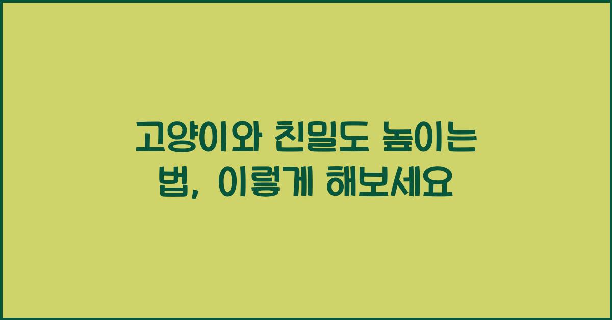 고양이와 친밀도 높이는 법