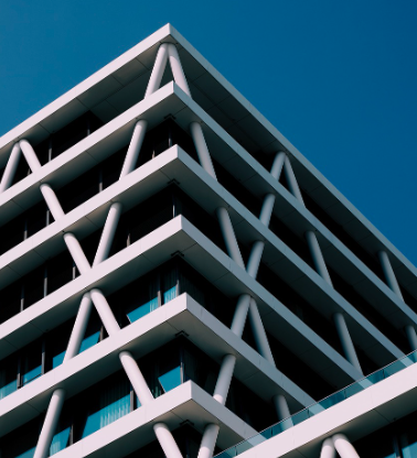 다주택자 양도소득세 중과 유예란? 수도권 지방권 부동산 전망?