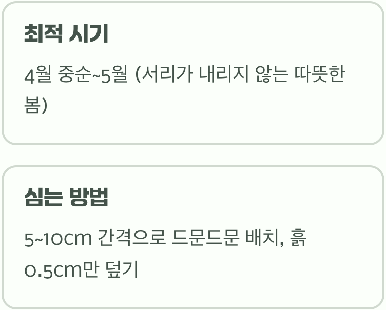 모든 이야기의 시작, 씨앗 뿌리기