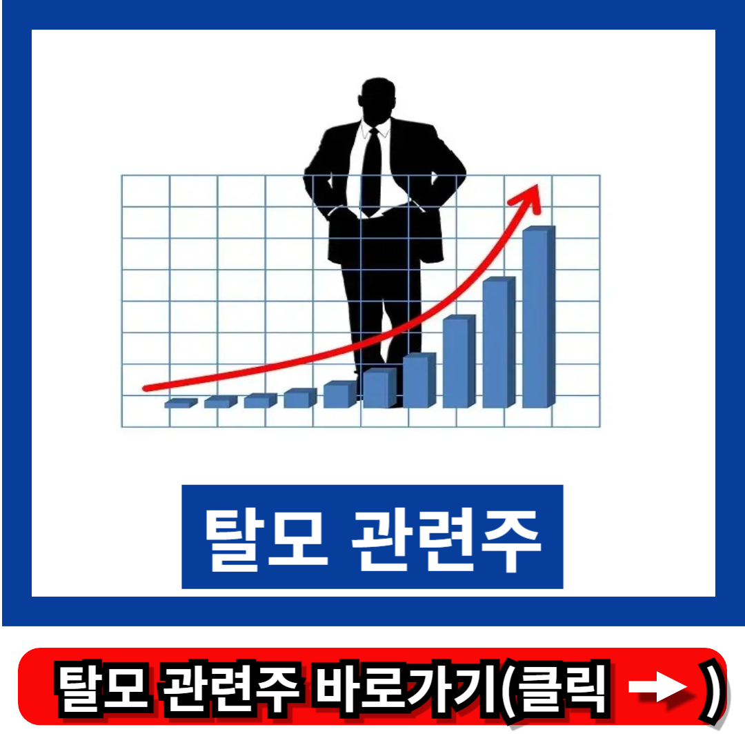 탈모 관련주