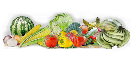 농식품 바우처 홈페이지 사용처 신청방법 4인가구 최대 100만원 지원확대!