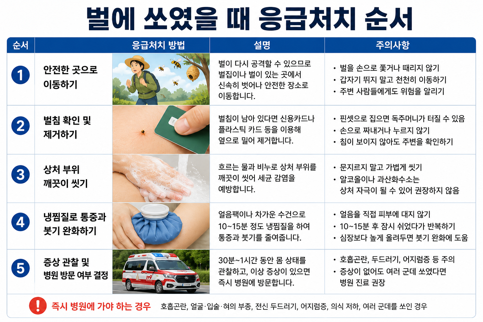 벌에 쏘였을 때 응급처치 순서