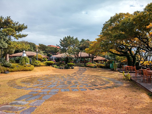 ✈️ 동남아 왕복 항공권 할인 찬스! 제주항공 빅세일 위크 지금 시작하세요!