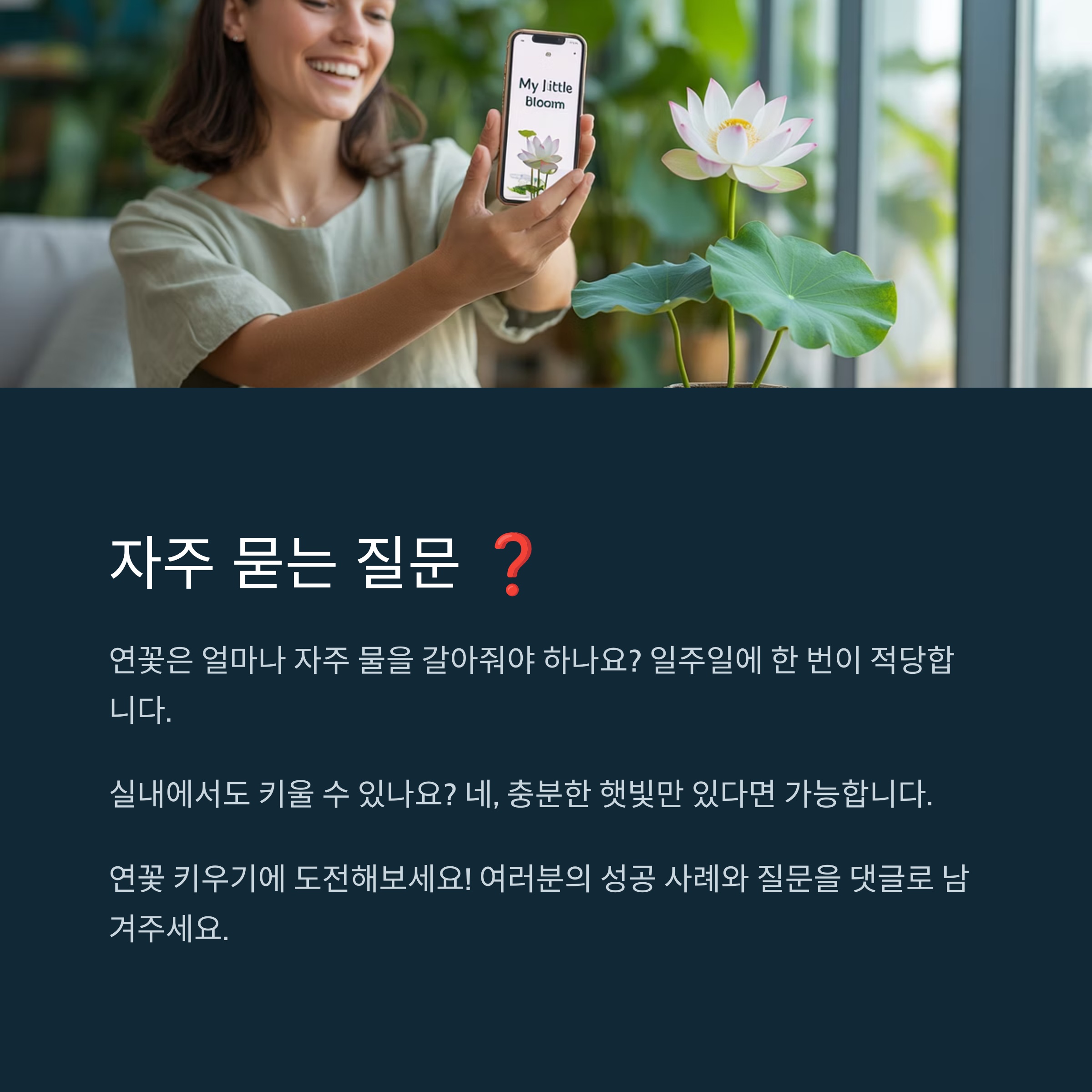 자주 묻는 질문