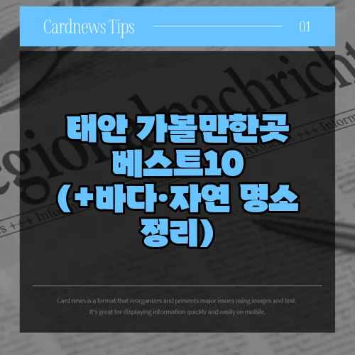태안 가볼만한곳 베스트10 (+바다·자연 명소 정리)