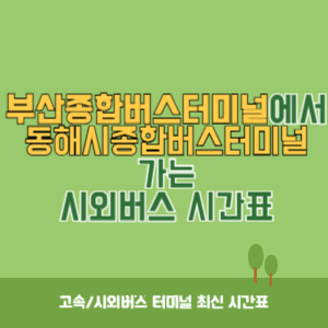 부산종합버스터미널에서 동해시종합버스터미널 가는 고속버스 시간표 최신정보