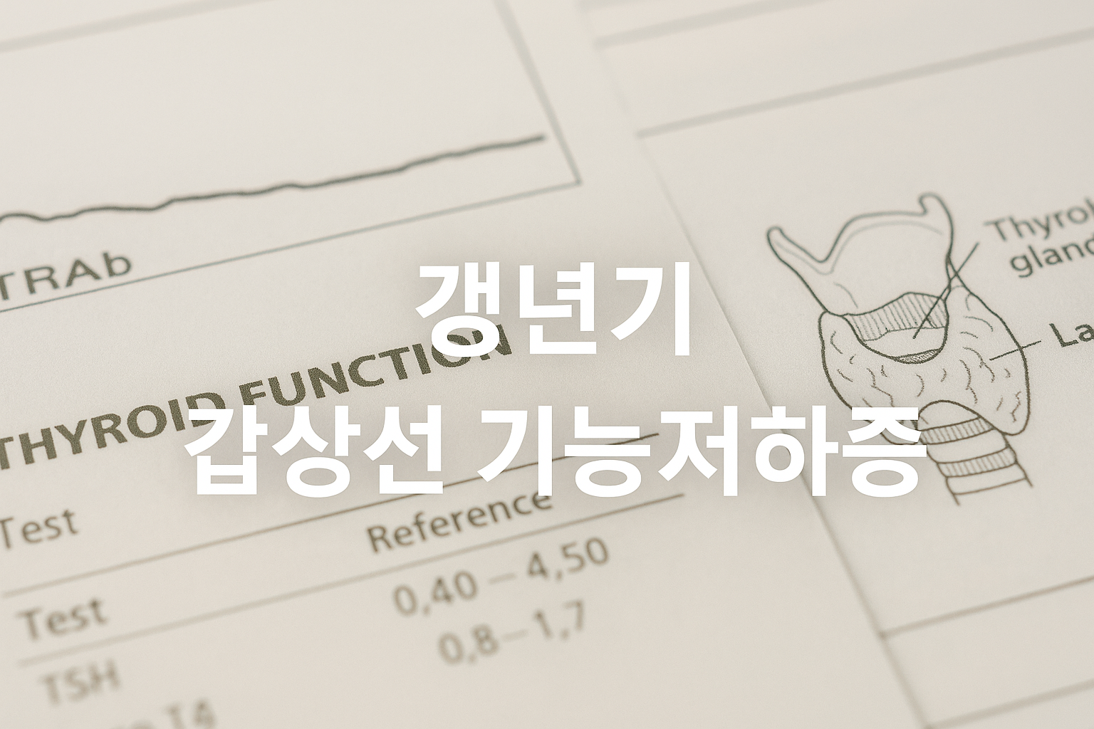 갱년기 기능저하증관련 이미지