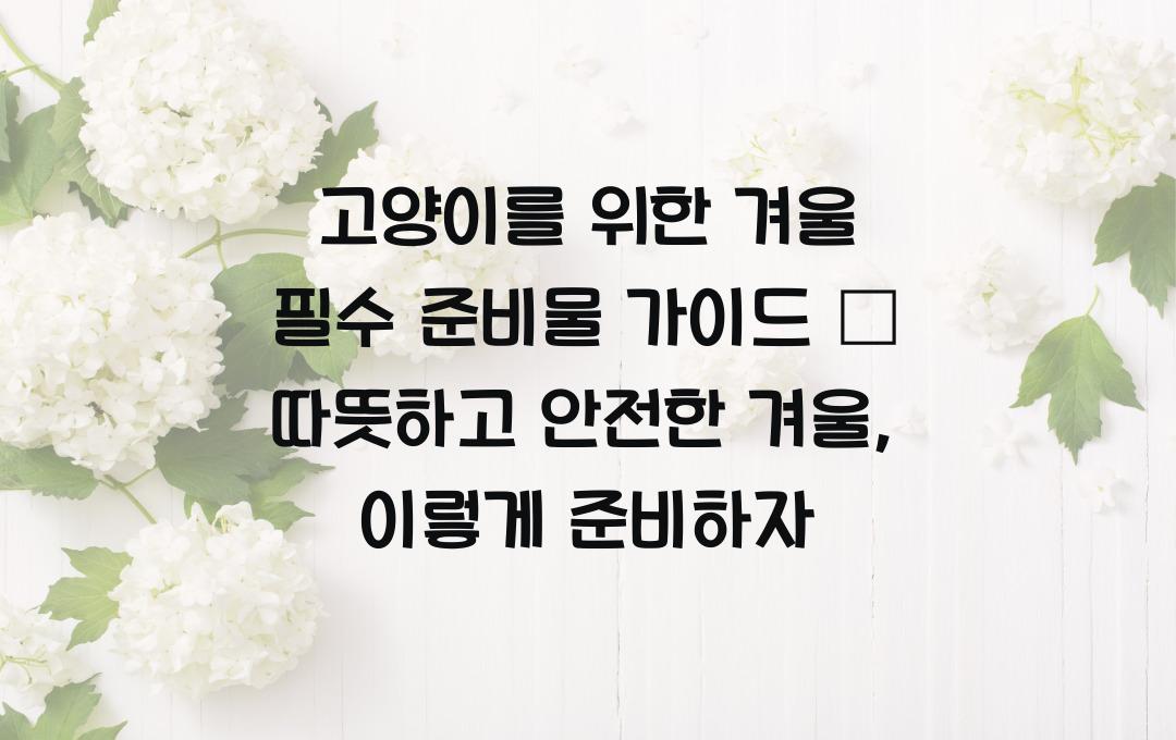고양이를 위한 겨울 필수 준비물 가이드